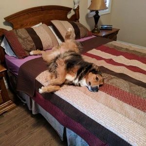 Meet your Posher, Shirley